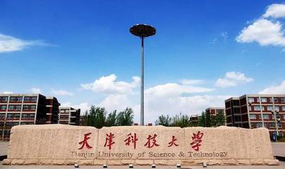 天津科技大學(xué)2021年美術(shù)類專業(yè)分?jǐn)?shù)線