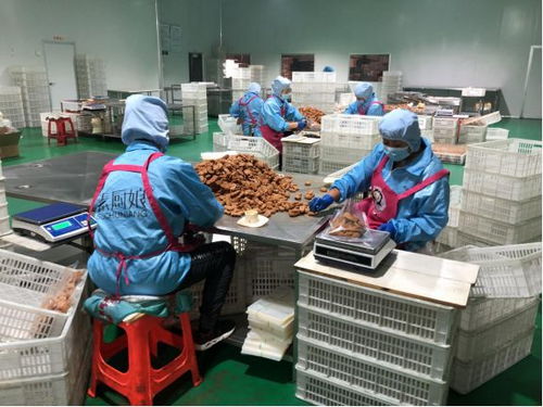 這樣的餐桌 無肉也歡 天津科技助力健康飲食十項行動見行見效