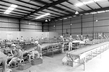 破解農業創新創業的資金困境 天津科技的實踐與探索